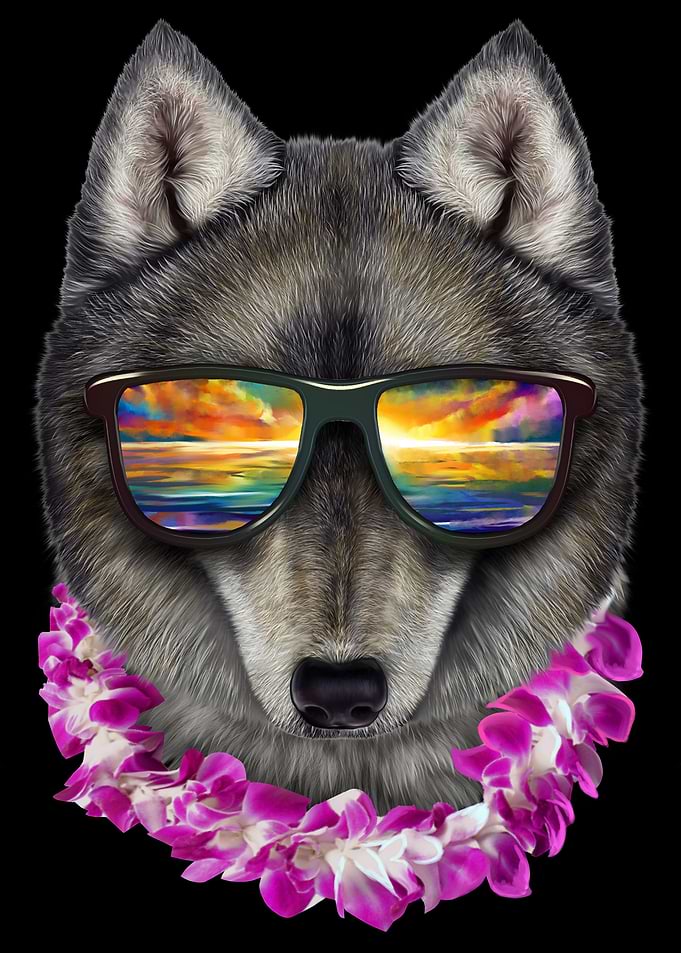 Wolf on Holiday in Hawaii