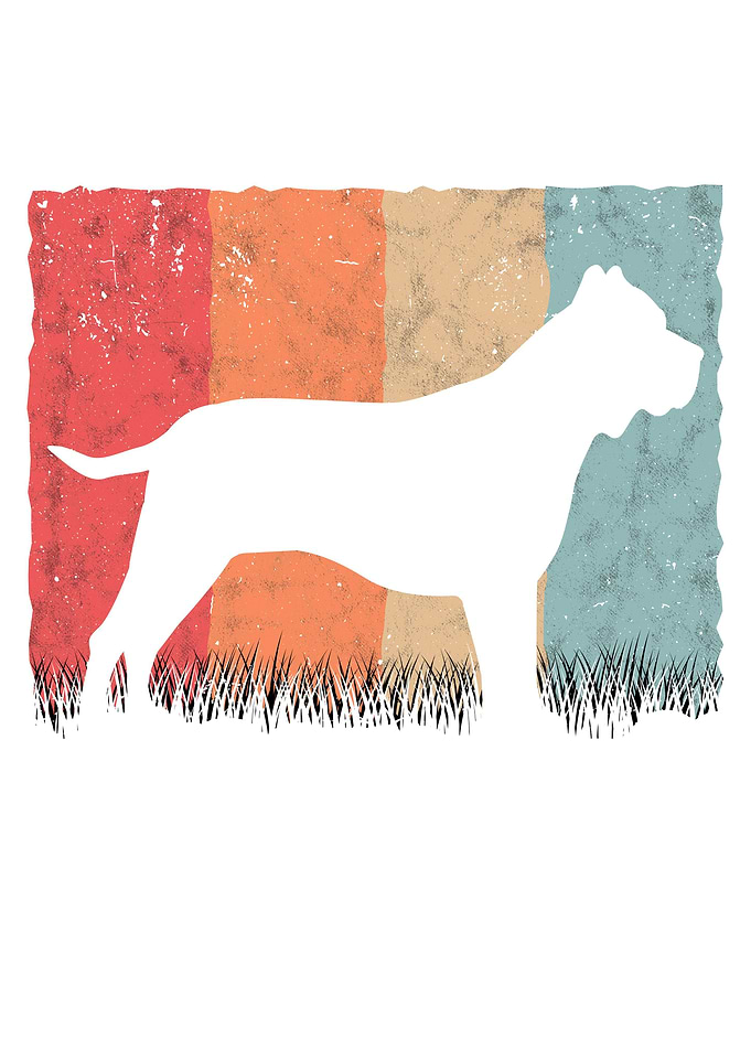 Presa Canario Retro Dogo