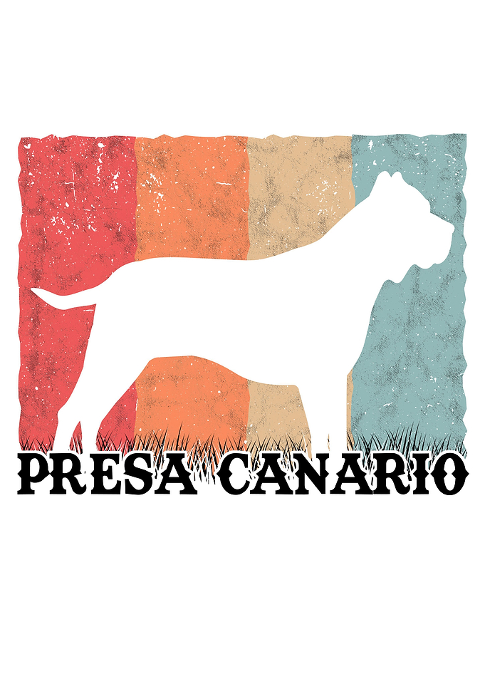 Presa Canario Retro Dogo