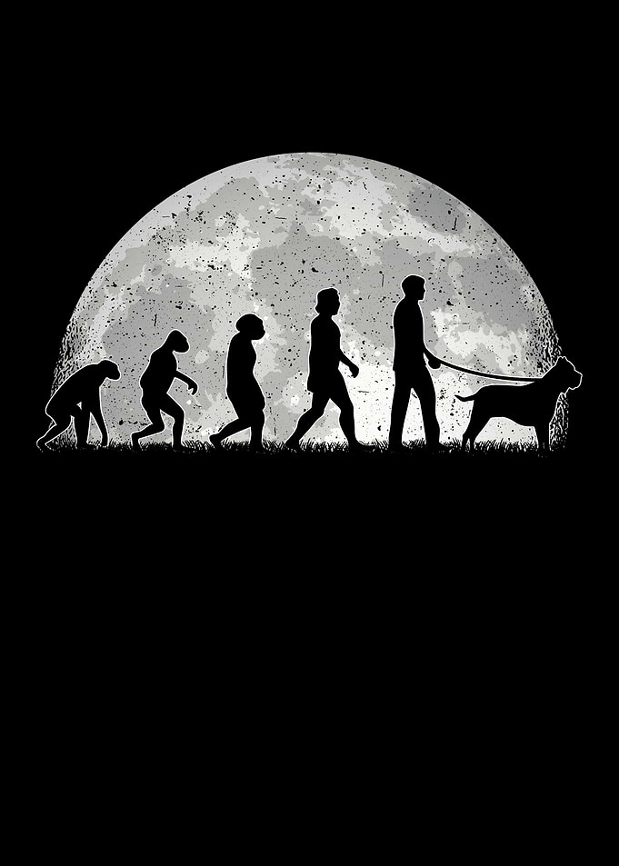 Presa Canario Evolution