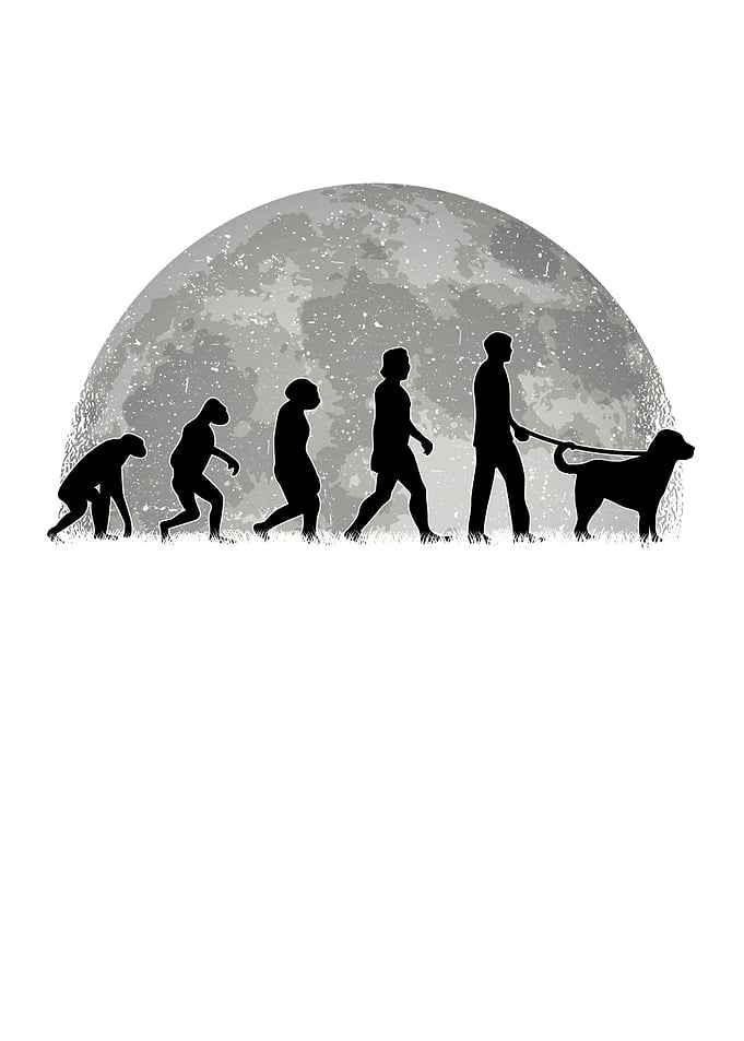 Kangal Evolution Moon