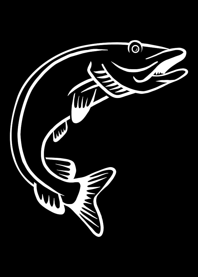 Fishing Muskie