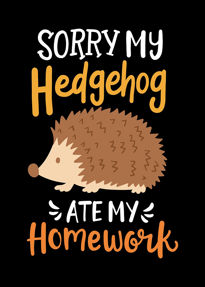 Hedgehog Homework School