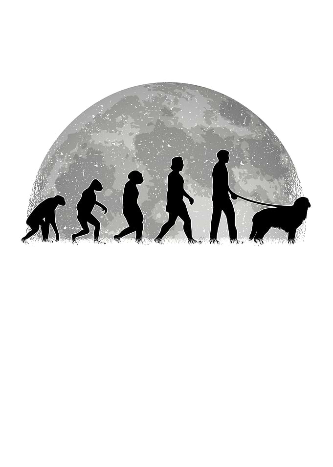 Hovawart Evolution Moon