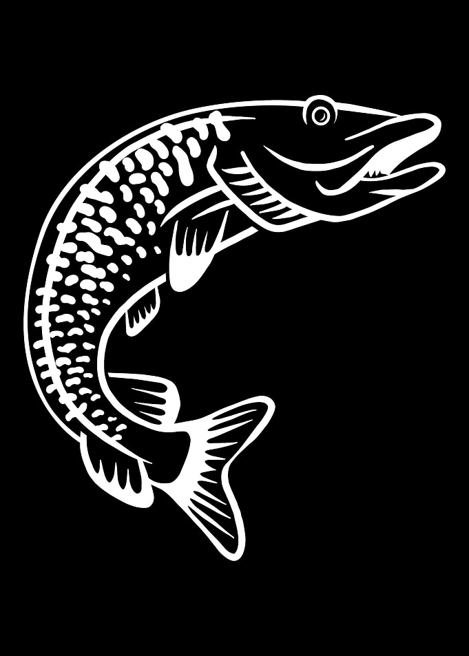 Fishing Muskie