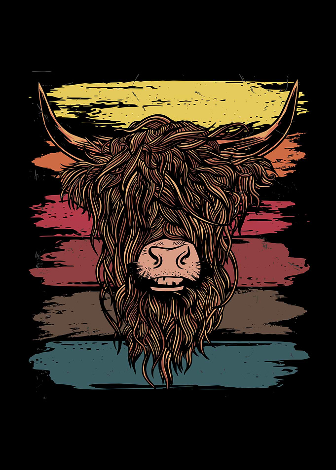 Scottish Highland Cattle