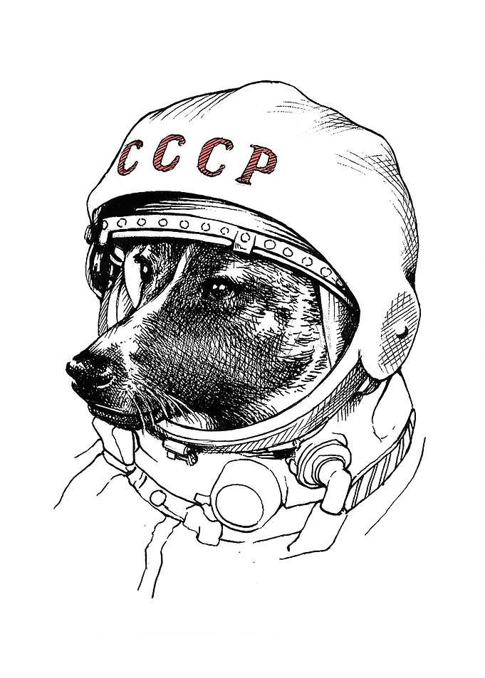 Soviet Laika Space Dog