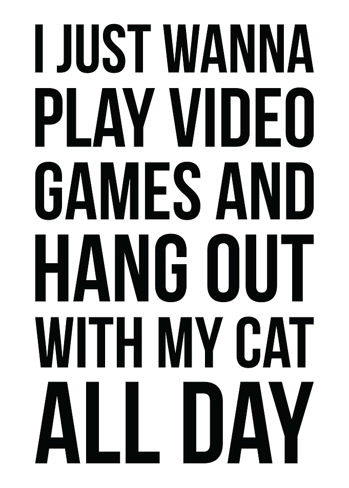 Cats and Video Games