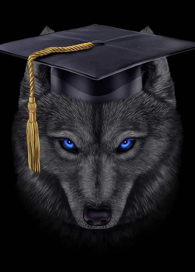 Bachelor Black Wolf