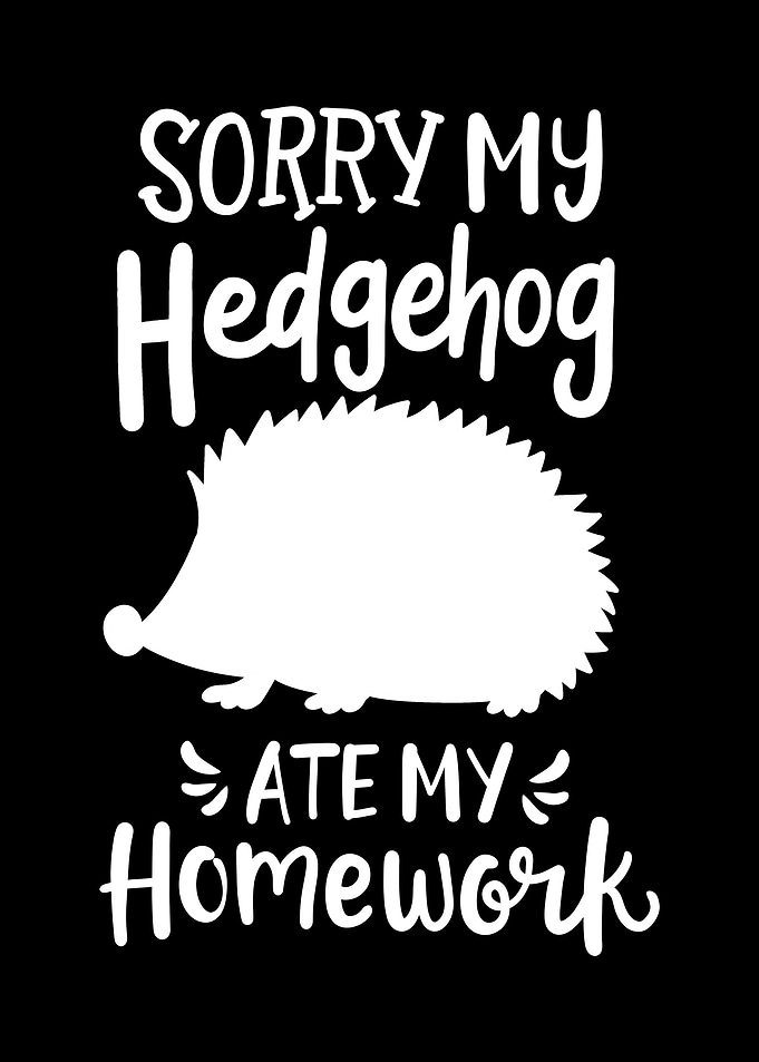 Hedgehog Student School