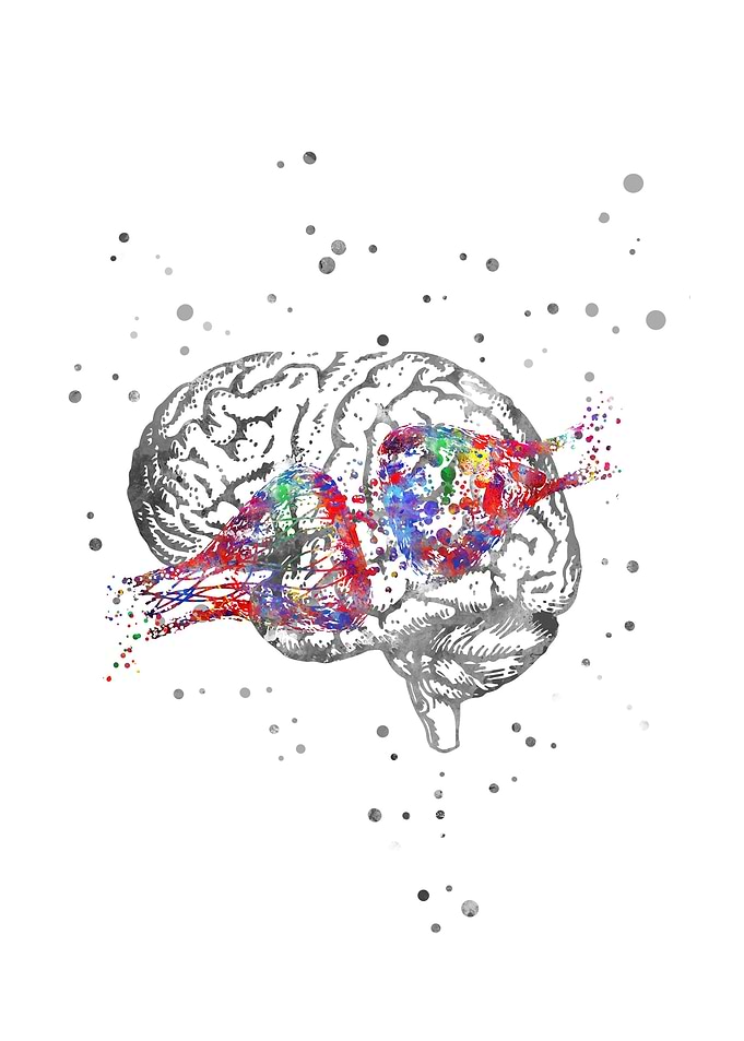 Synapse receptor