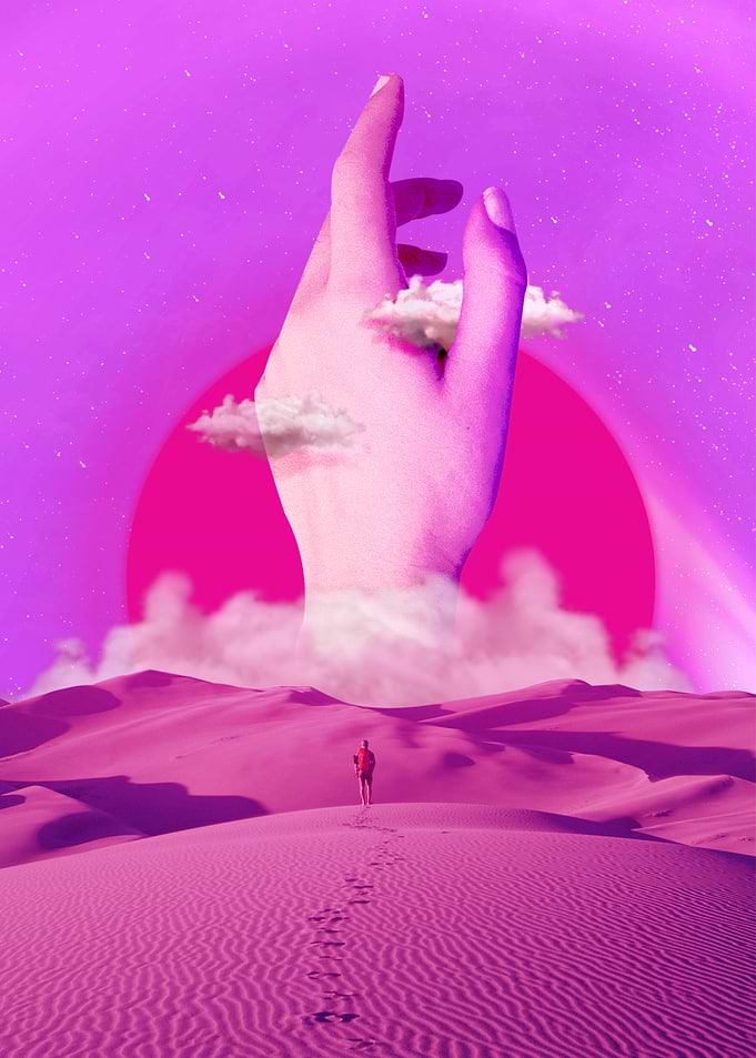 The Human Hand