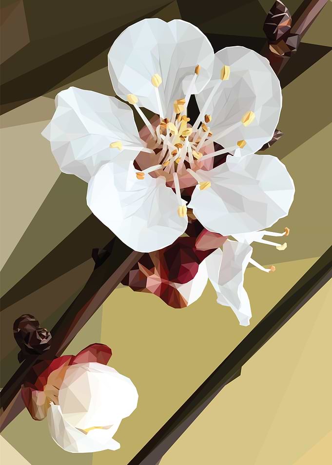 Low Poly Plum Blossom