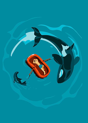 Whale ocean