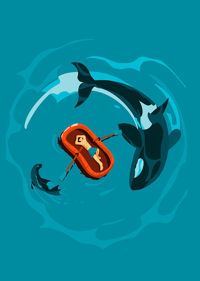 Whale ocean