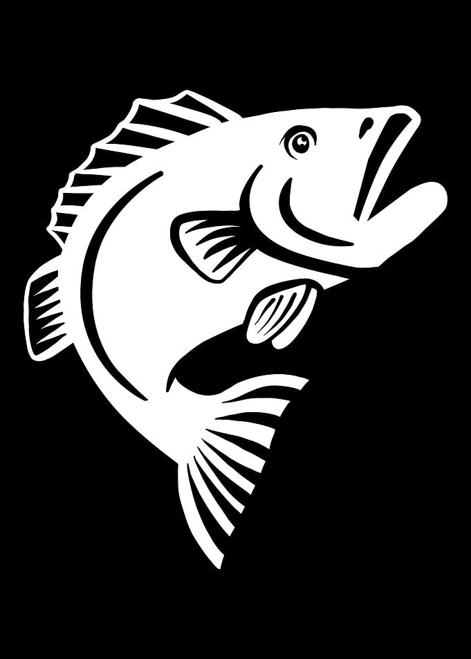 Fishing Fish