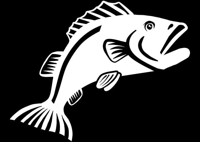Fishing Fish