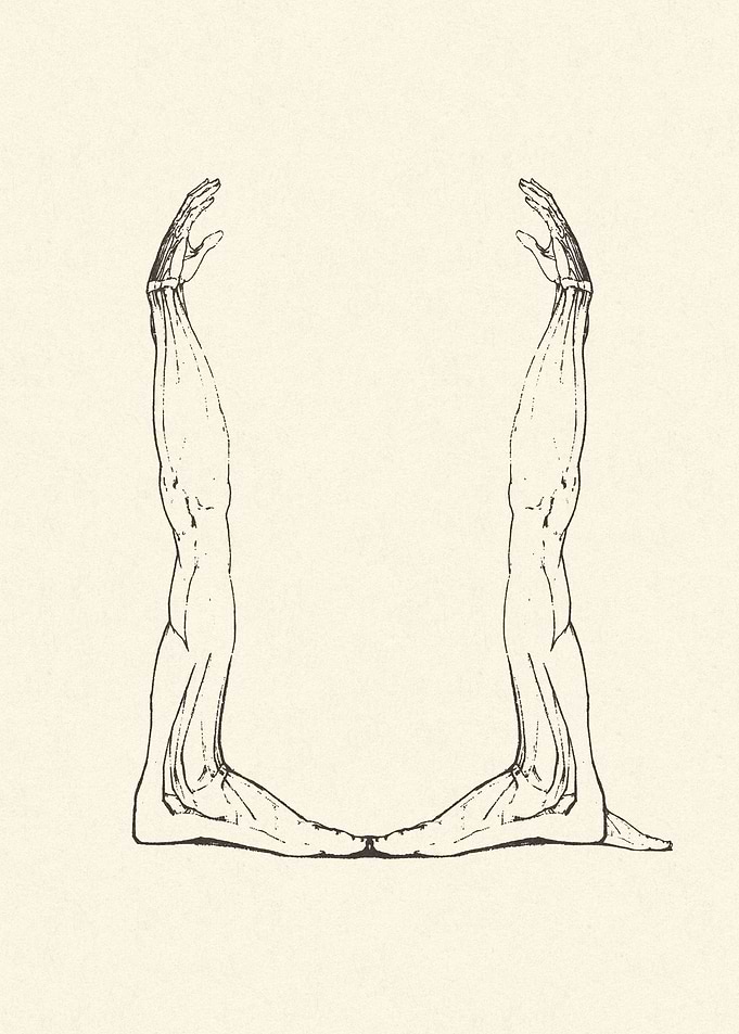 Letter U
