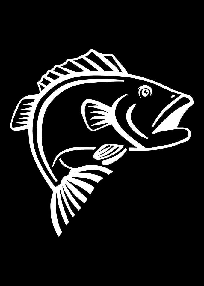 Fishing Fish