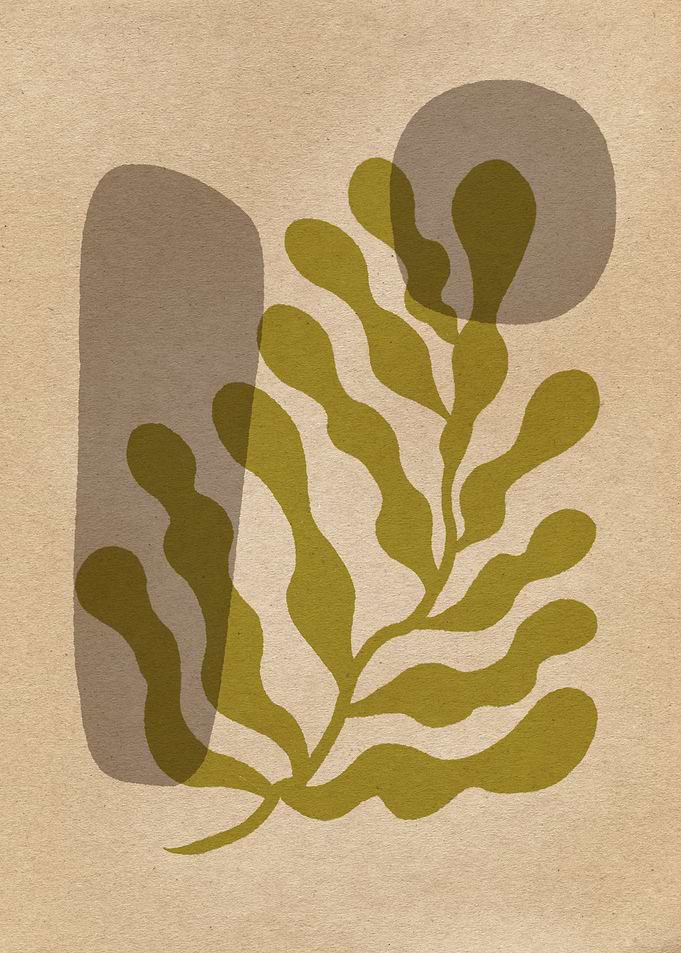 Matisse Leaf and Stones