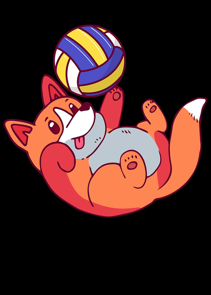 Volleyball Dog