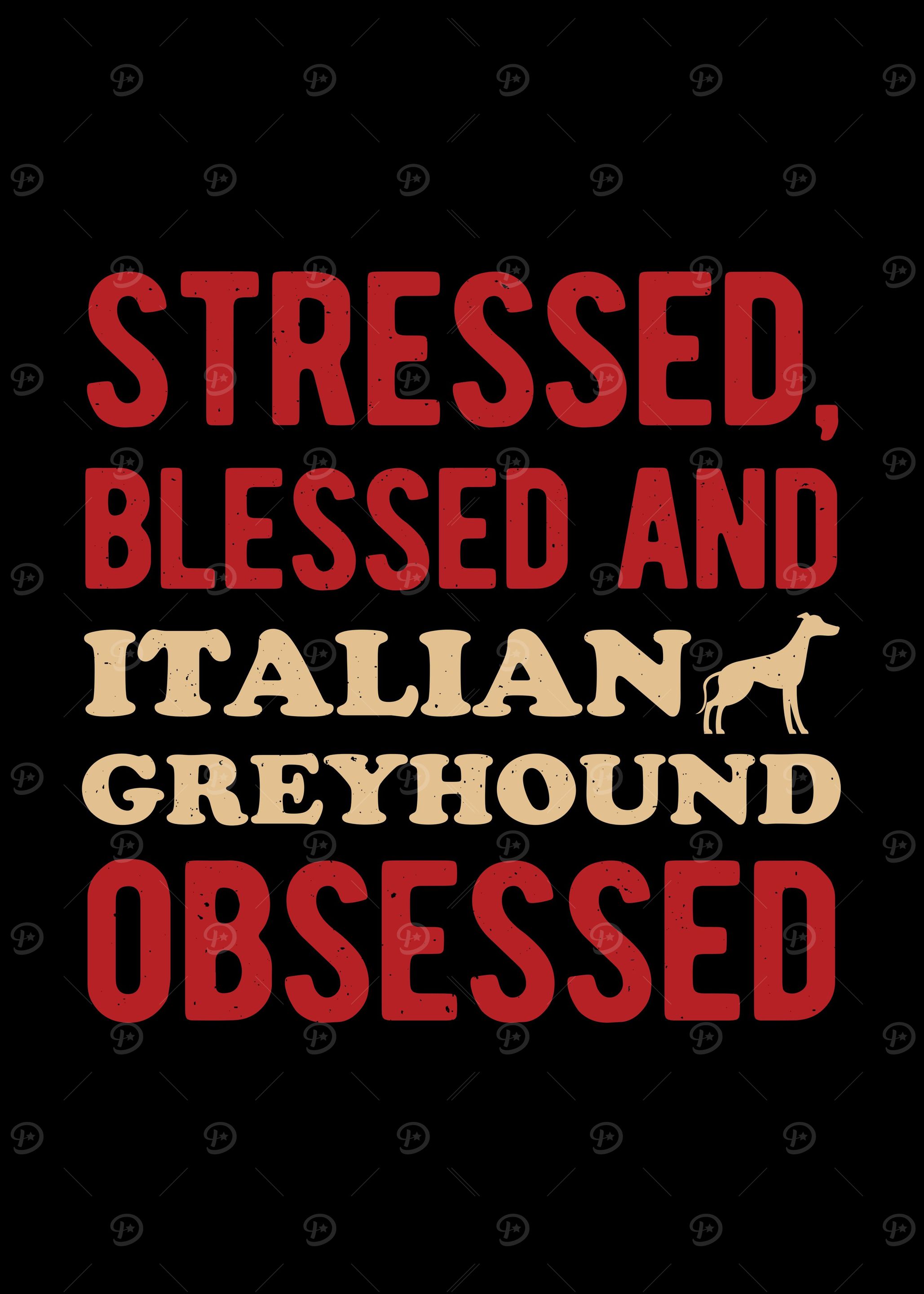 Funny Italian Greyhound