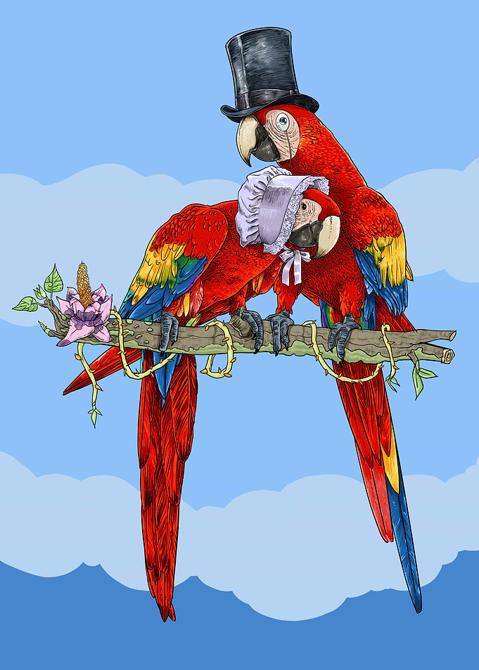 Macaws Happy couple