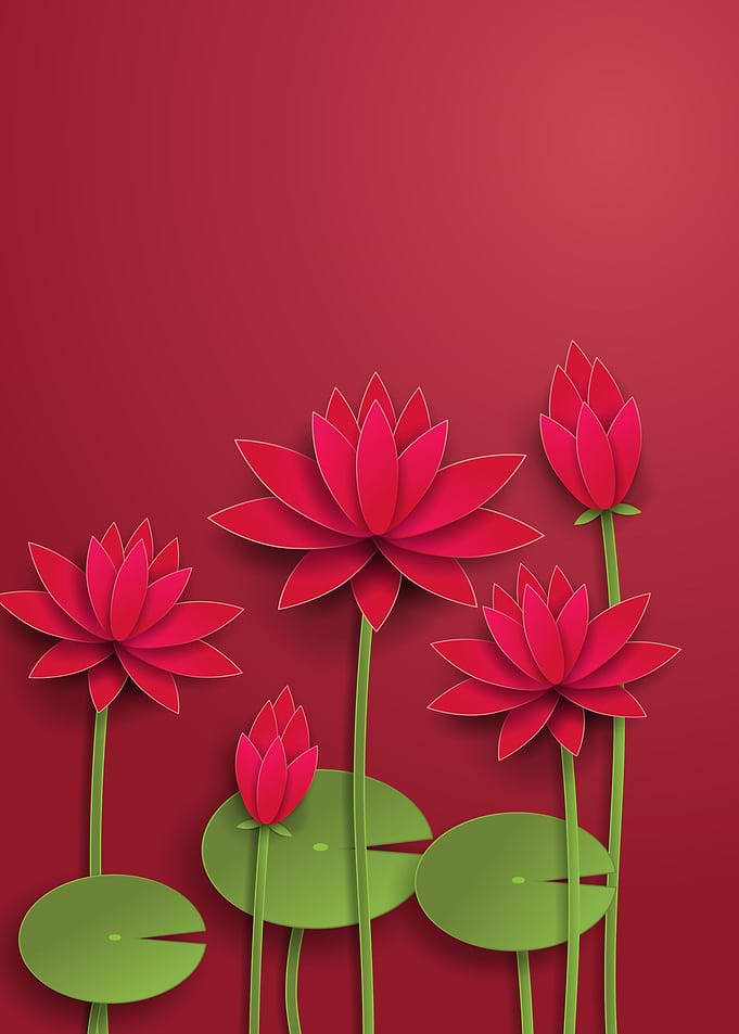 Lotus flower