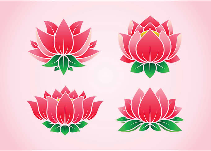 Lotus flower