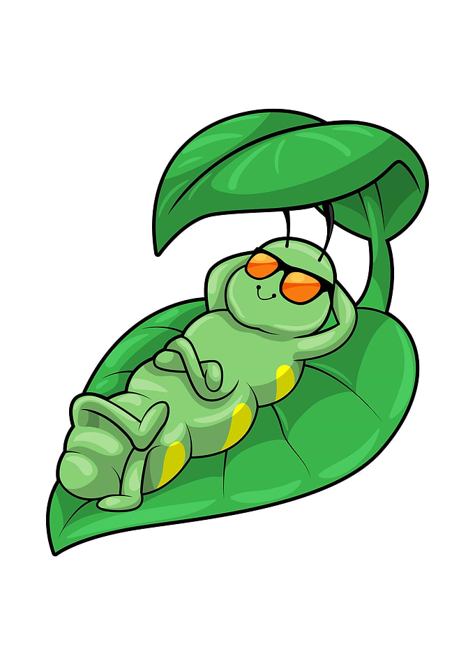 Caterpillar Leaf