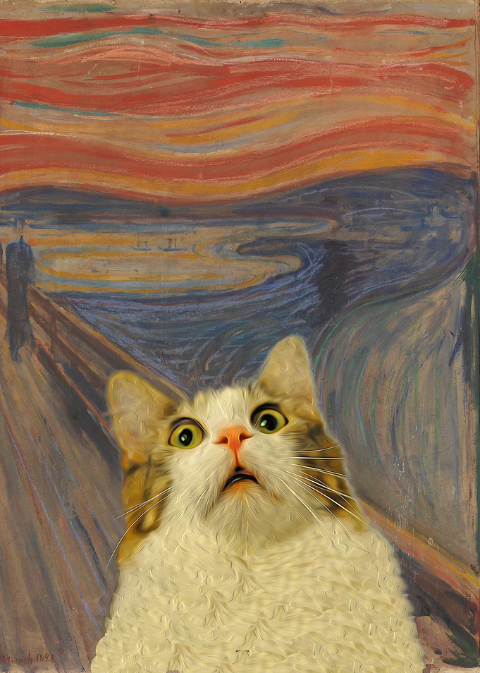 The Meow