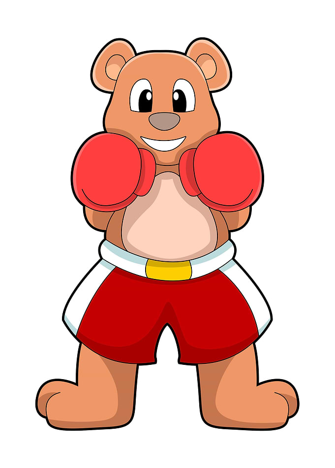 Bear Boxing Boxing gloves