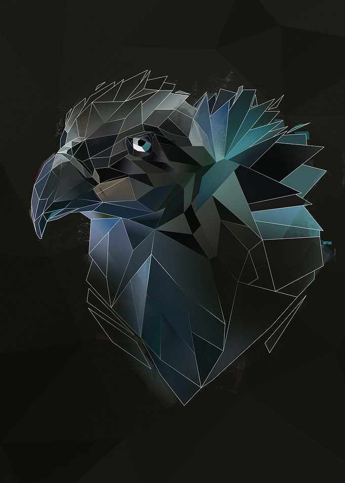 Vulture