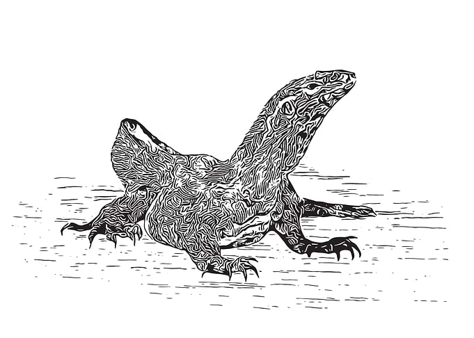 Lizard
