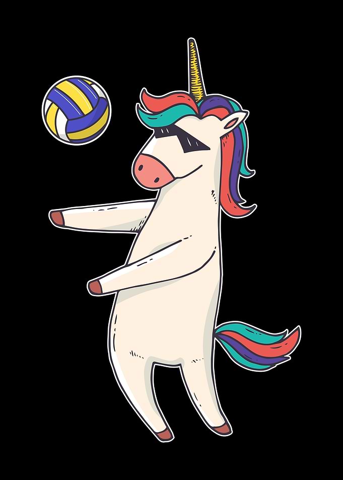 Volleyball Unicorn