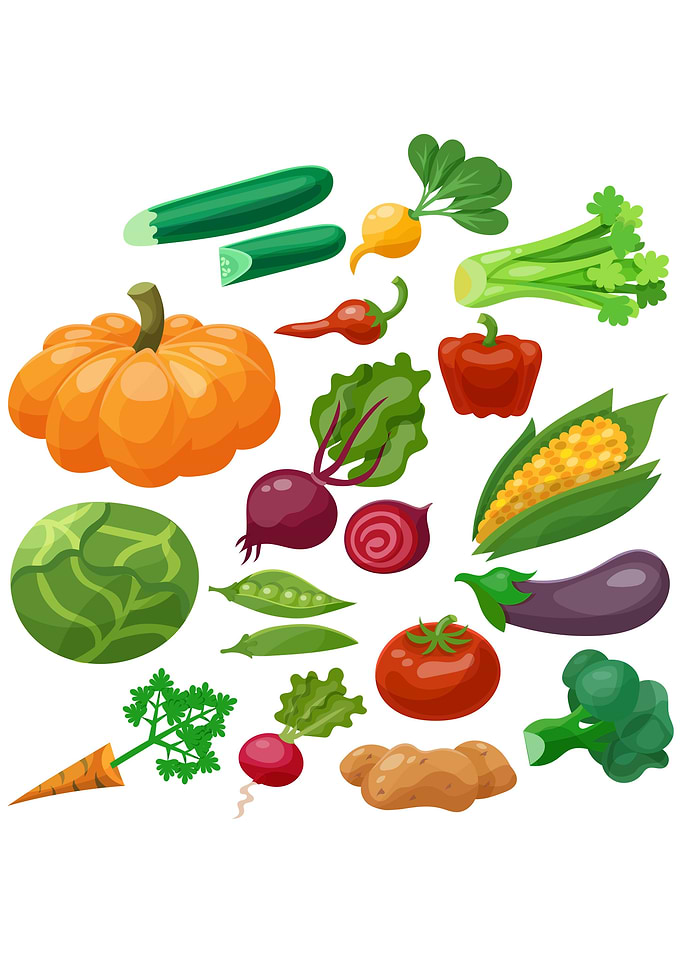 Healthy Food