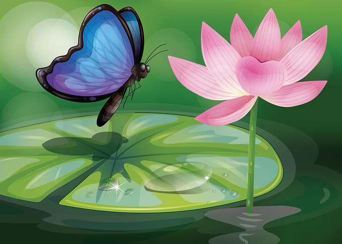 Lotus flower