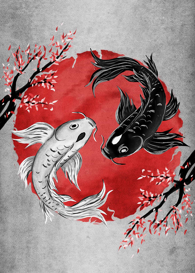 Koi Fish