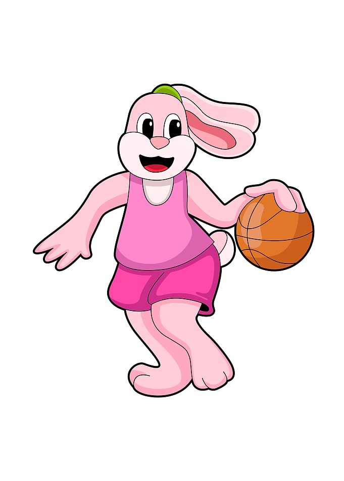 Rabbit Basketball Sports