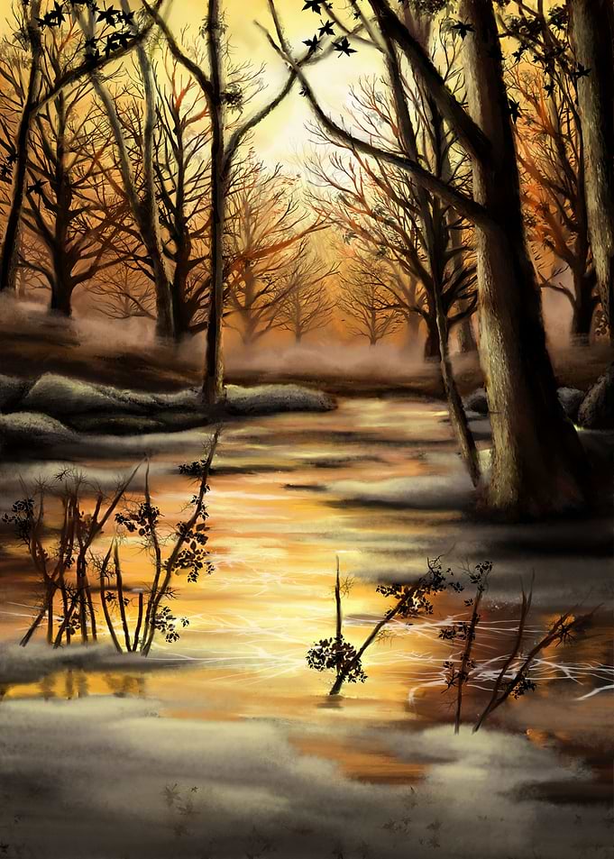 Warm Winter Forest