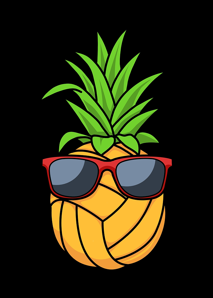 Pineapple Volleyball