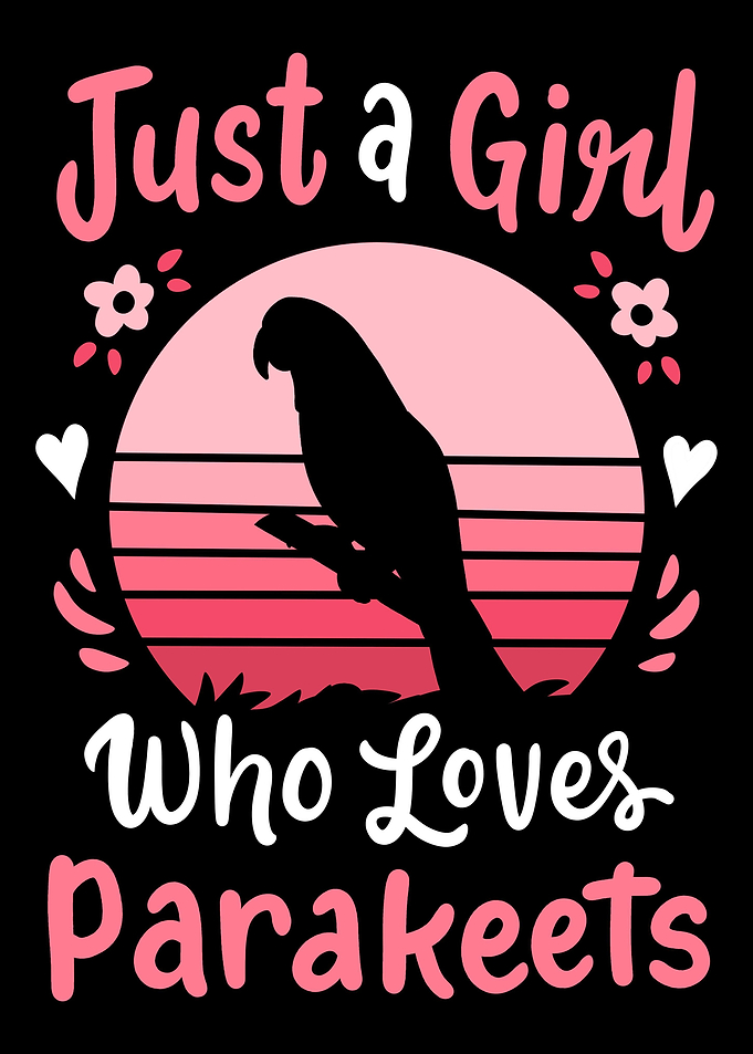 Parakeet Budgie Bird Lover