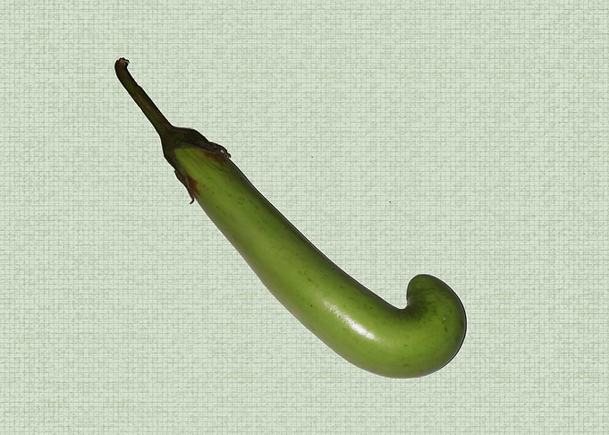 Brinjal
