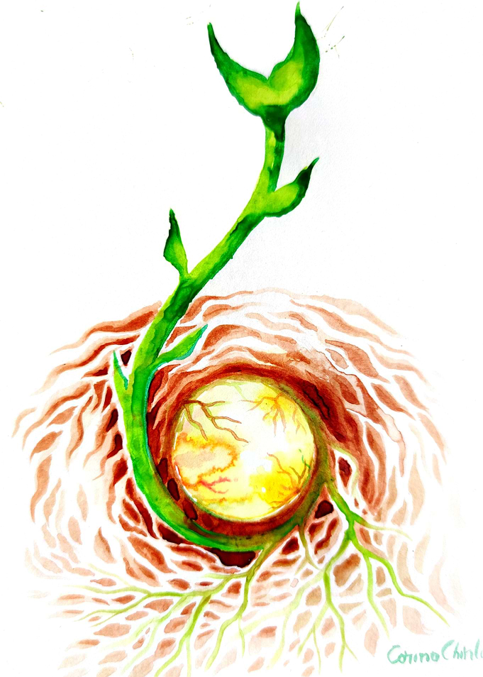 The seed of life