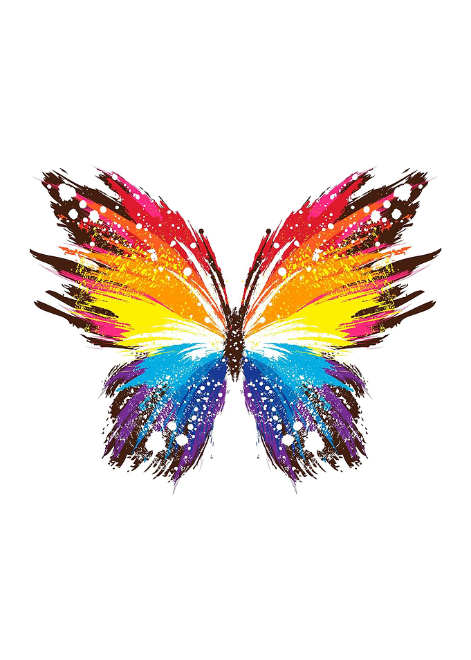 Butterfly Painting Drawing