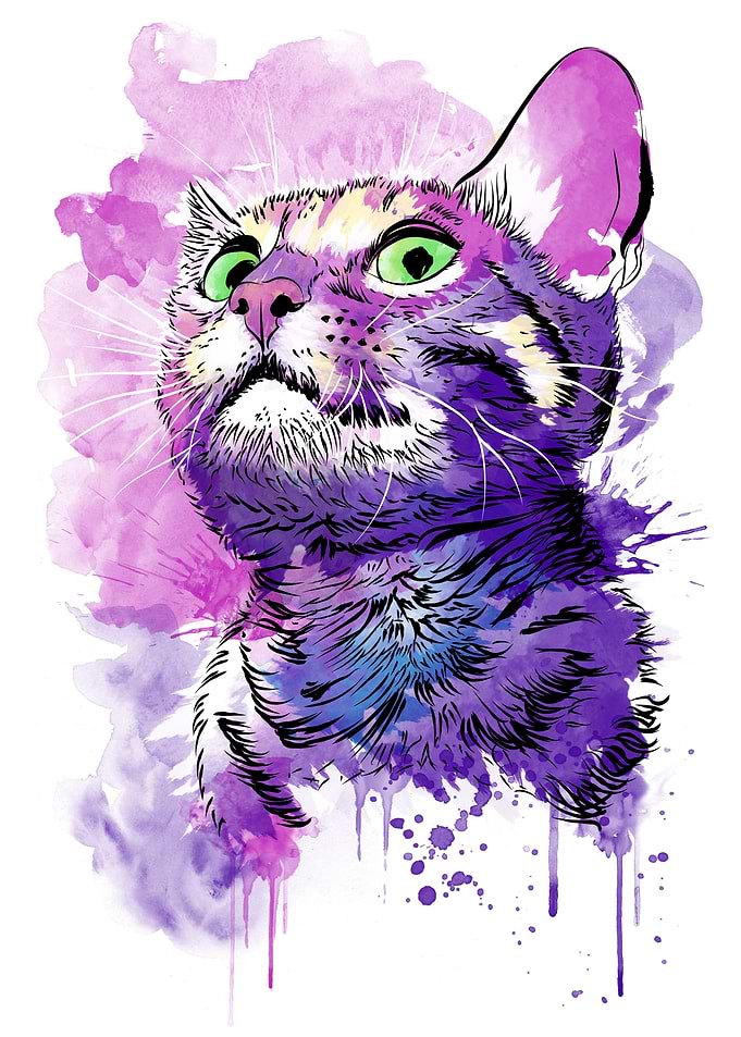 Cat Watercolor
