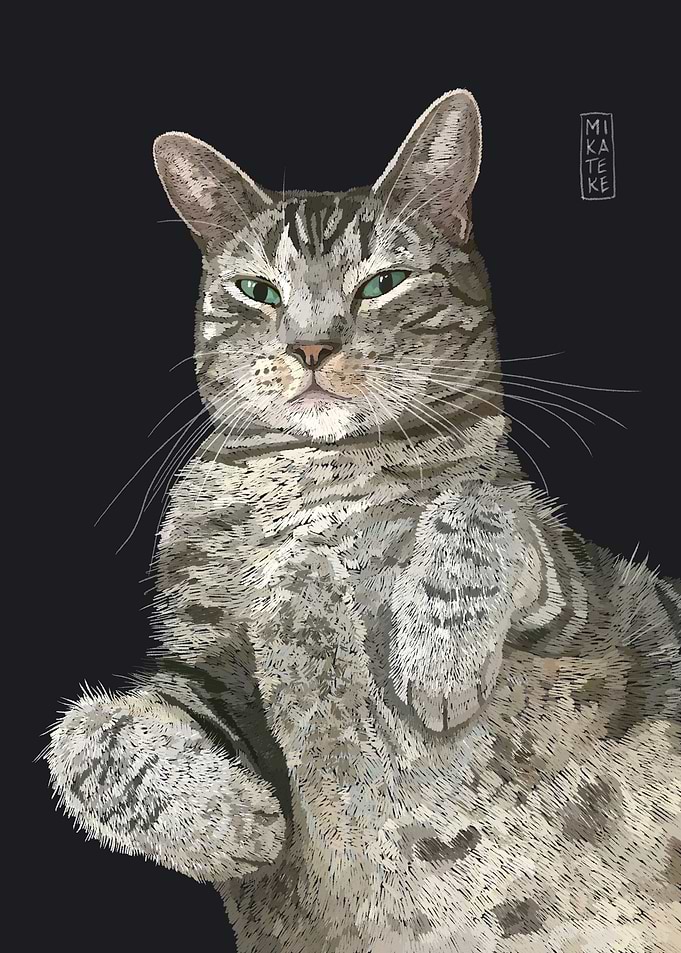 Lia the Cat