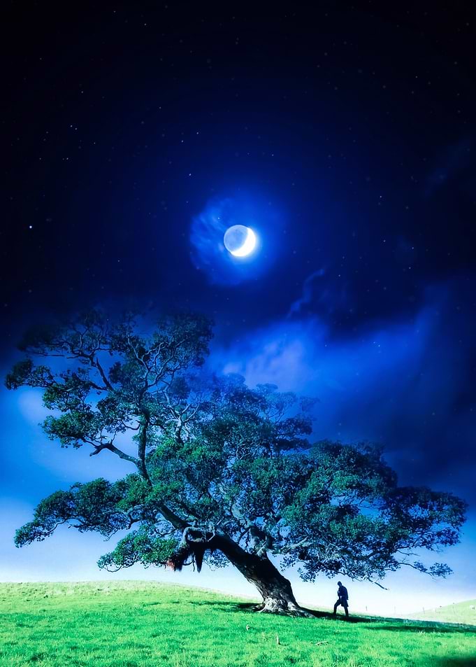 Night Day Crescent Moon