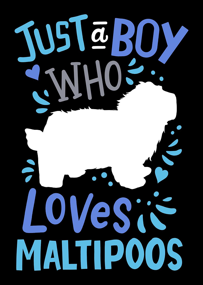 Maltipoo Dog Dad Dog Lover