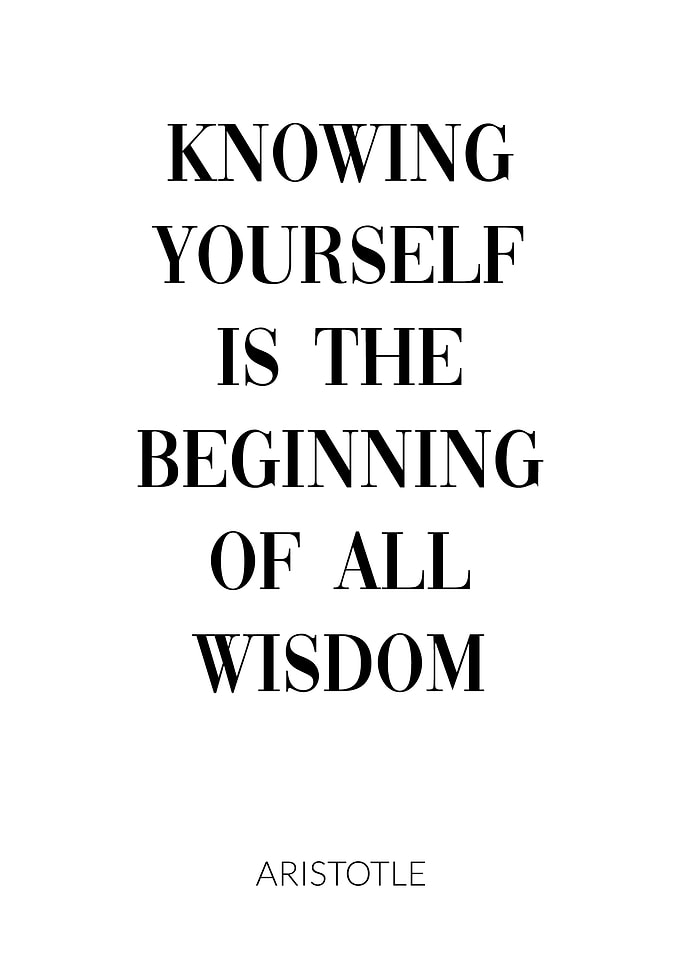 Aristotle Quote
